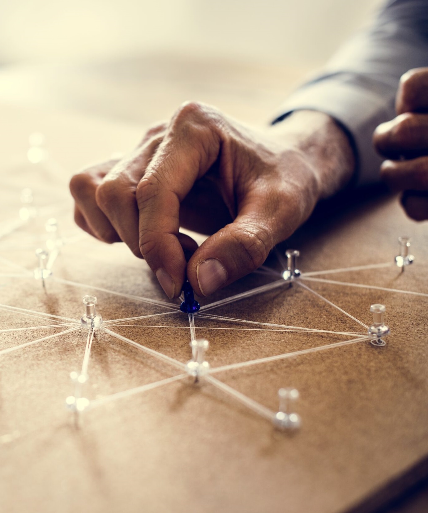 Project Management Team